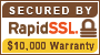 mango ink is protected with RapidSSL